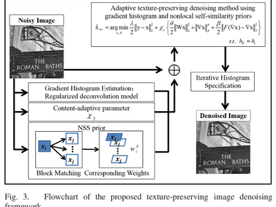 Adaptive Texture-Preserving Denoising Method Using Gradient Histogram and Nonlocal Self-Similarity Priors